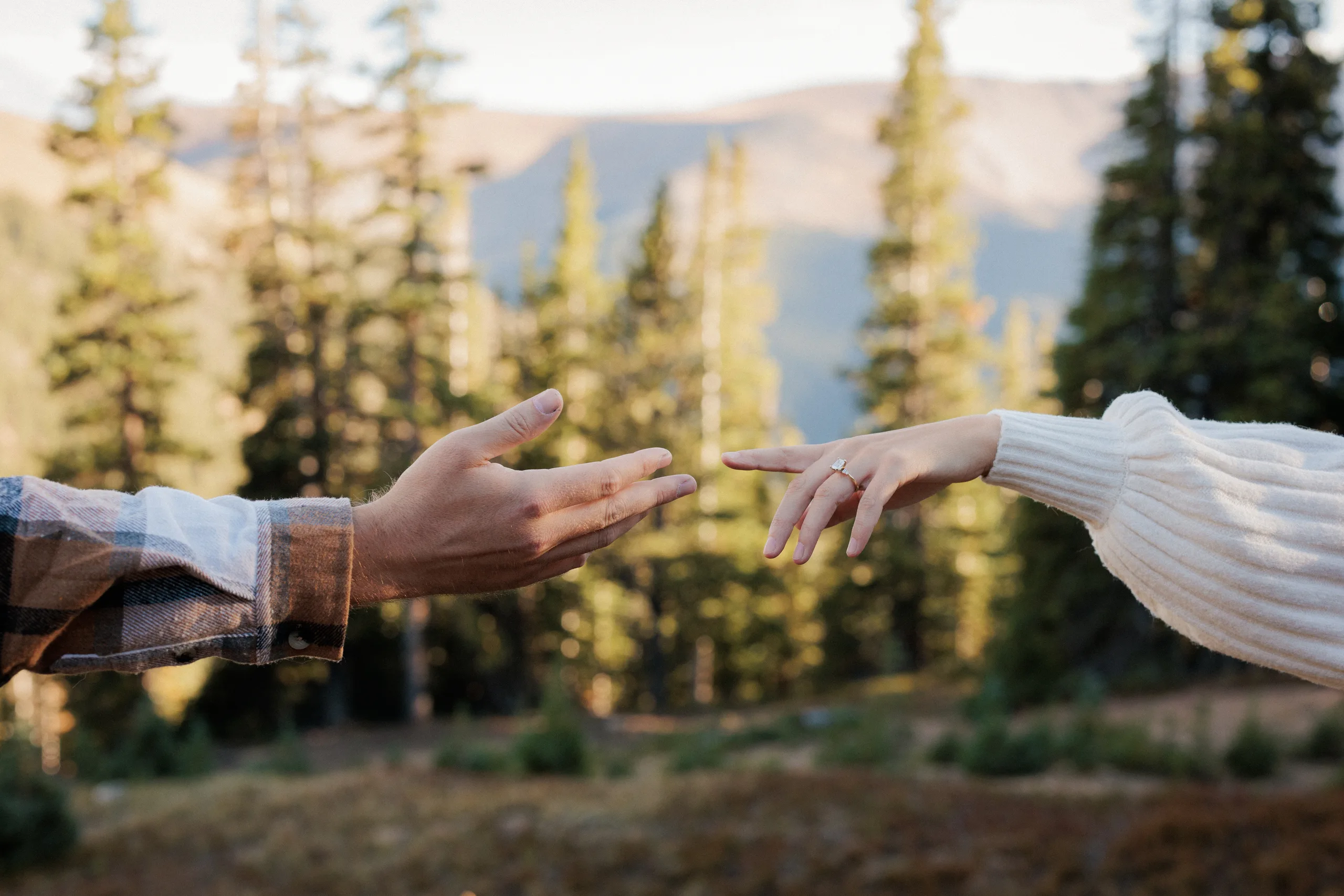 Jordan and Daelynn reaching for each other's hands among Colorado pines